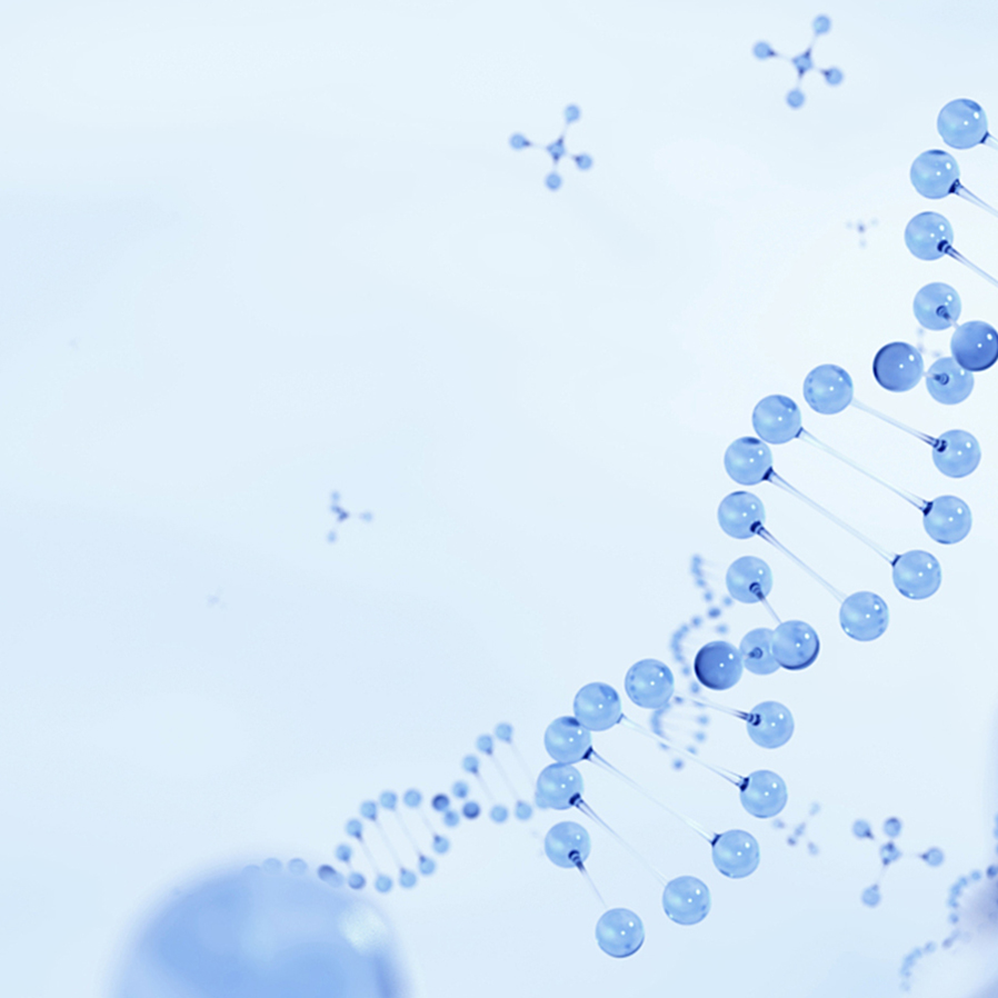 888¼¯ÍÅ¡¤¡¸Öйú¡¹¡¤¹Ù·½ÍøÕ¾